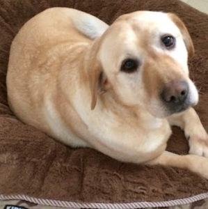 Meet your Posher, Claire